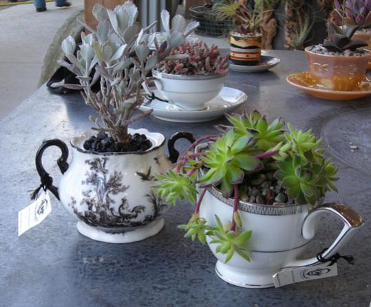 Name:  01teacups42109.jpg
Views: 2879
Size:  44.6 KB
