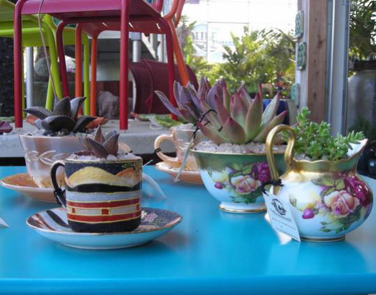 Name:  02teacups42109_rect540.jpg
Views: 1662
Size:  40.2 KB