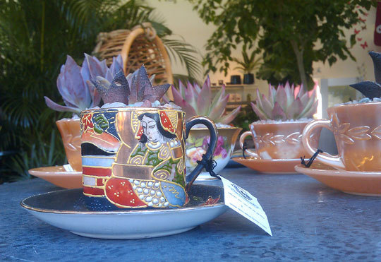 Name:  04tecups42109_rect540.jpg
Views: 1600
Size:  66.6 KB