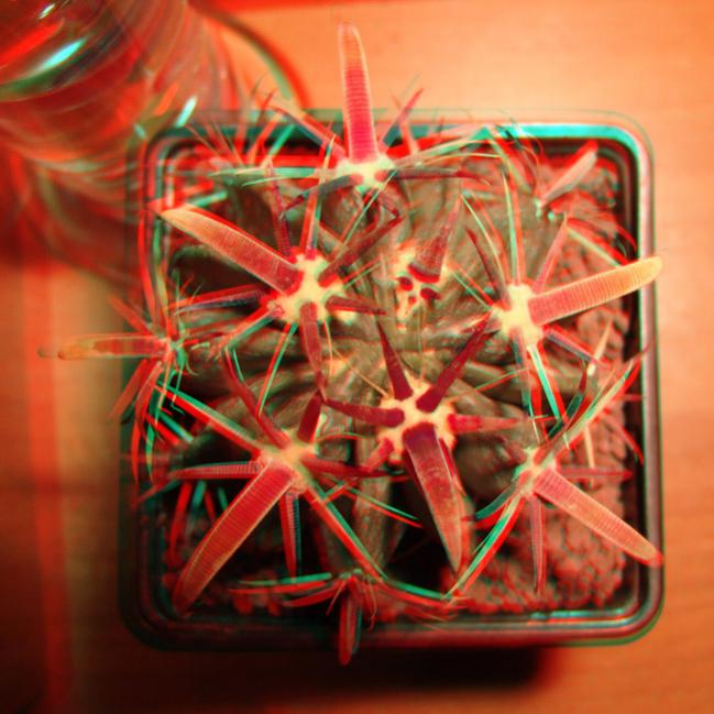 Name:  ferocactus latispinus 3D.jpg
Views: 1516
Size:  57.5 KB