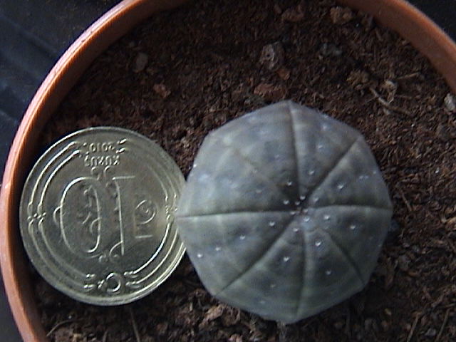 Name:  DSC00036.JPG
Views: 767
Size:  61.8 KB