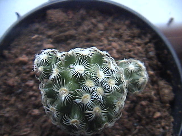 Name:  DSC00001.JPG
Views: 742
Size:  58.8 KB