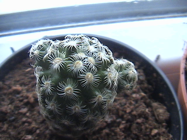 Name:  DSC00002.JPG
Views: 789
Size:  62.4 KB