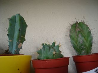 Name:  DSC00051.JPG
Views: 634
Size:  23.5 KB