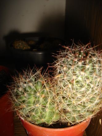 Name:  DSC00065.JPG
Views: 444
Size:  42.9 KB