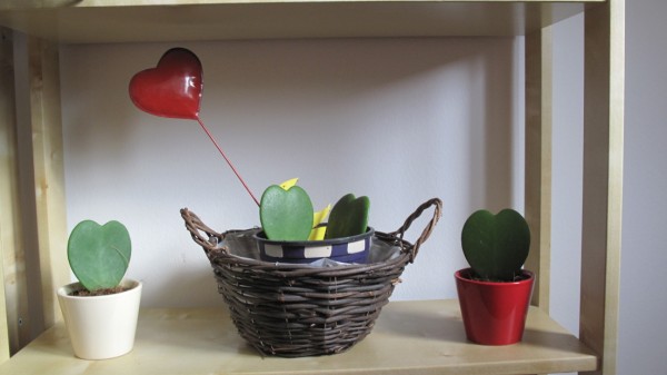 Name:  IMG_0208 (600 x 337).jpg
Views: 2157
Size:  36.1 KB