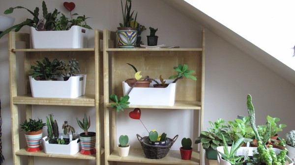 Name:  IMG_0220 (600 x 337).jpg
Views: 2087
Size:  49.3 KB