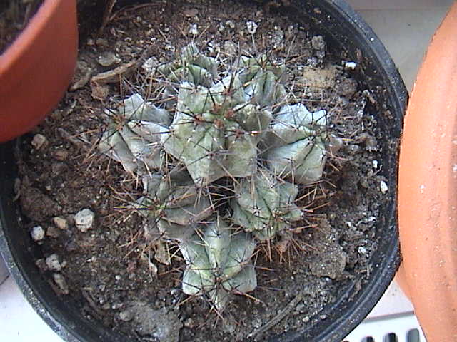 Name:  DSC00081.JPG
Views: 720
Size:  61.7 KB