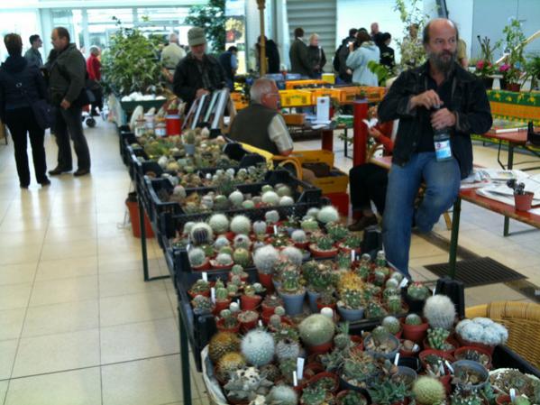 Name:  IMG_0076.jpg
Views: 1267
Size:  54.3 KB