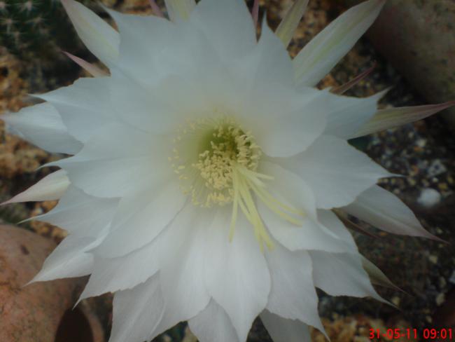 Name:  DSC01360.jpg
Views: 1027
Size:  26.8 KB
