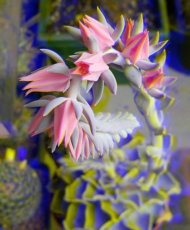 Name:  E Shaviana Real 3 D.jpg
Views: 1069
Size:  64.9 KB