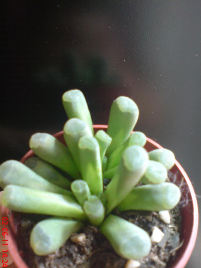 Name:  DSC01381.jpg
Views: 818
Size:  43.0 KB