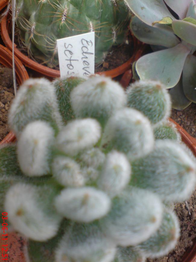 Name:  DSC01390.jpg
Views: 847
Size:  57.3 KB
