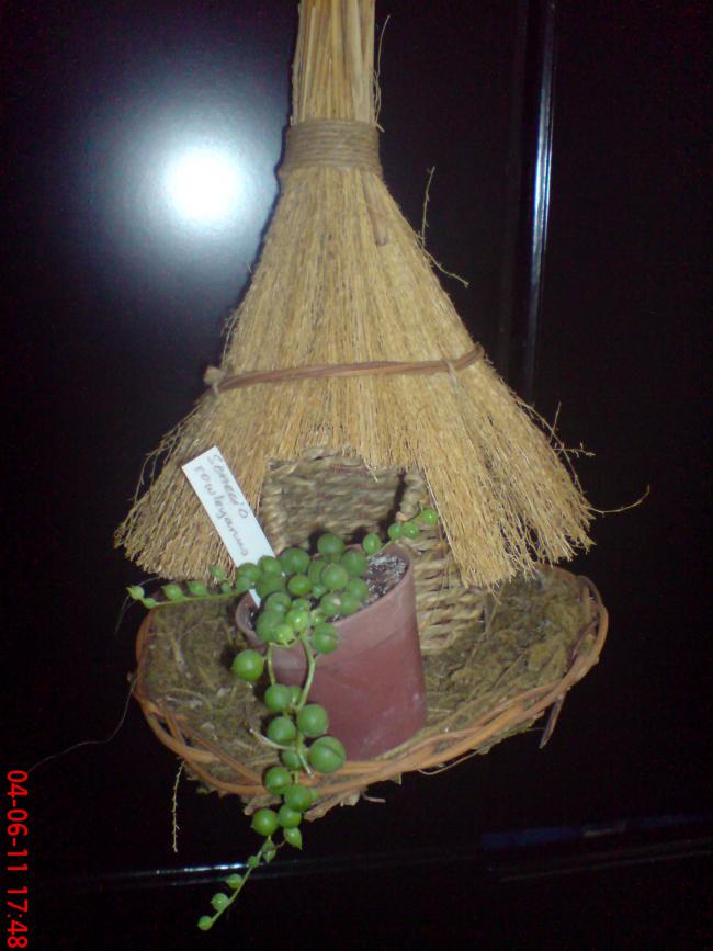 Name:  DSC01398.jpg
Views: 822
Size:  58.6 KB