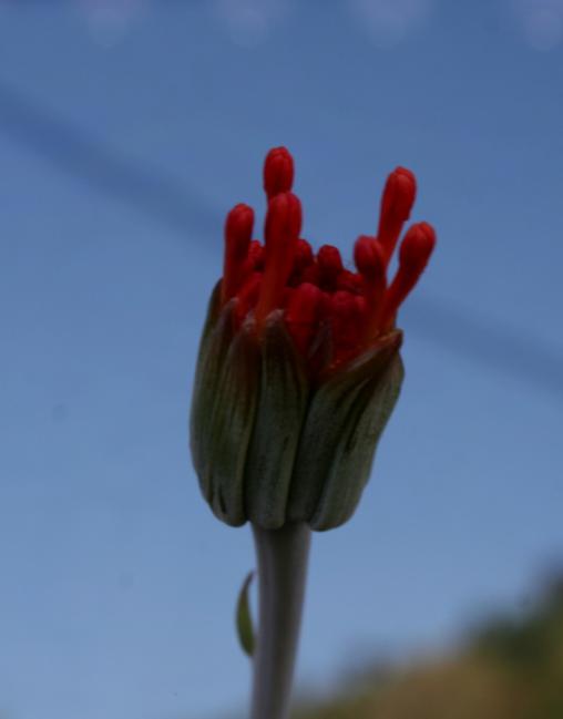 Name:  IMG_4753.jpg
Views: 649
Size:  14.5 KB