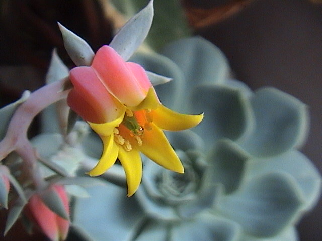 Name:  DSC00135.JPG
Views: 773
Size:  62.5 KB