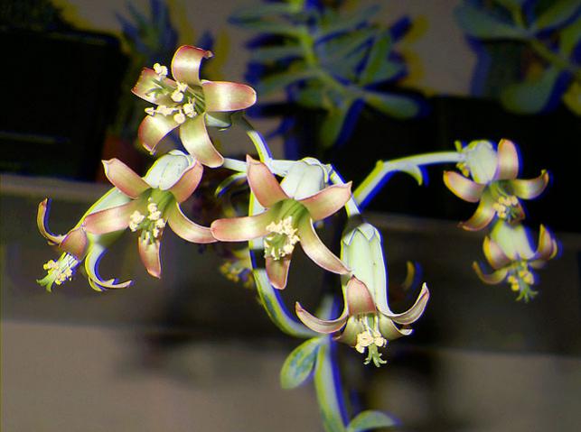 Name:  cothy Real 3D.jpg
Views: 1259
Size:  38.2 KB