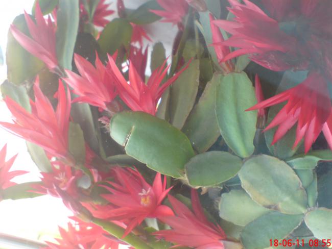 Name:  DSC01512.jpg
Views: 443
Size:  35.4 KB