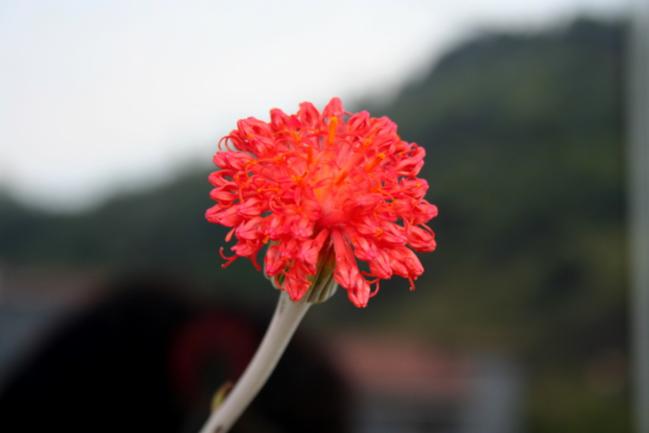 Name:  IMG_5078.jpg
Views: 601
Size:  18.7 KB