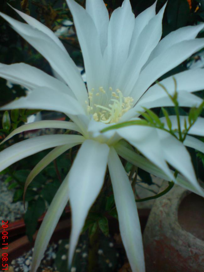 Name:  DSC01564.jpg
Views: 461
Size:  50.9 KB