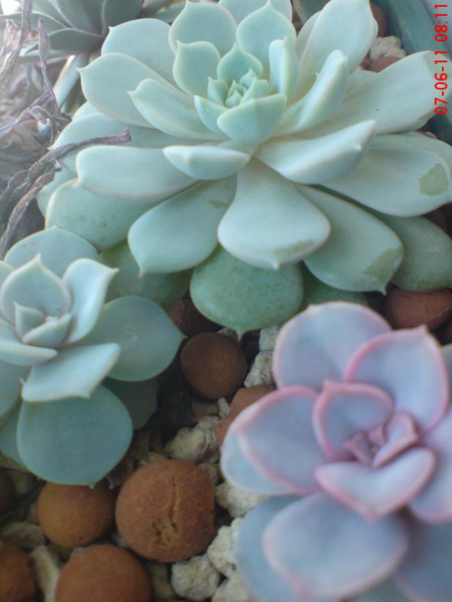 Name:  DSC01425.jpg
Views: 495
Size:  49.5 KB