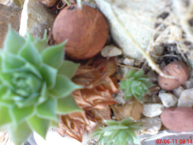 Name:  DSC01428.jpg
Views: 489
Size:  36.5 KB