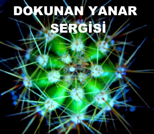 Name:  DOKUNAN YANAR2.jpg
Views: 1268
Size:  58.1 KB