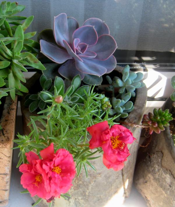 Name:  6-7-8 TEMMUZ 2011 085.jpg
Views: 1278
Size:  72.6 KB