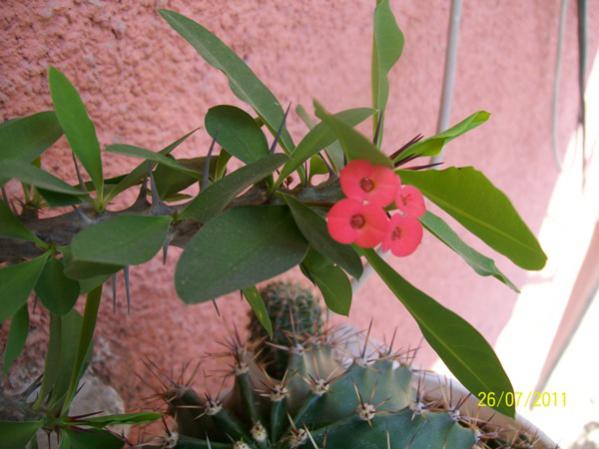 Name:  mill.jpg
Views: 571
Size:  39.0 KB