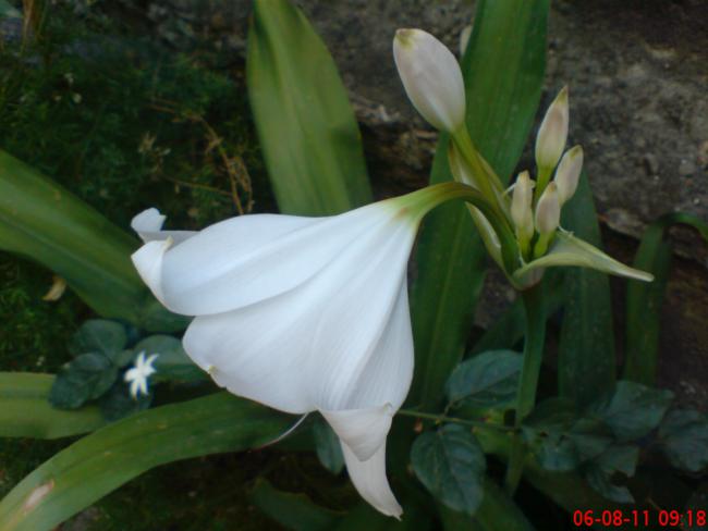 Name:  DSC01730.jpg
Views: 485
Size:  32.1 KB