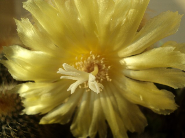 Name:  Image00005.JPG
Views: 1773
Size:  68.6 KB