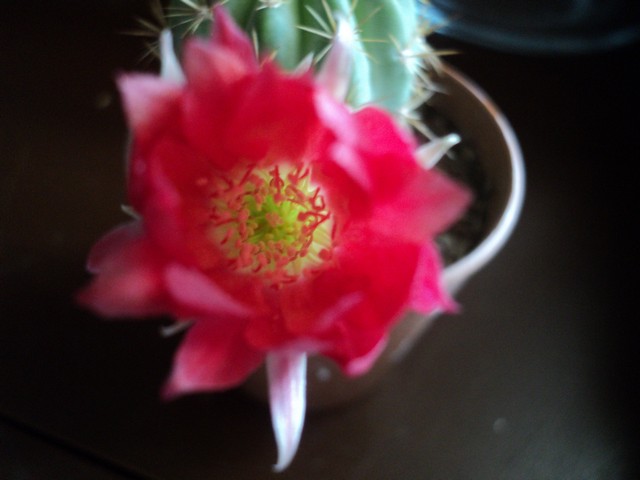 Name:  Image00048.JPG
Views: 1757
Size:  61.5 KB