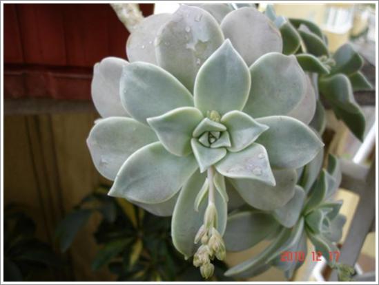Name:  DSC01906 (Small).jpg
Views: 963
Size:  27.5 KB