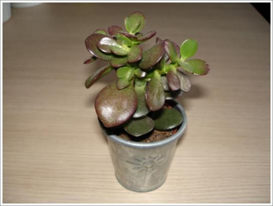 Name:  DSC026472.jpg
Views: 889
Size:  22.8 KB