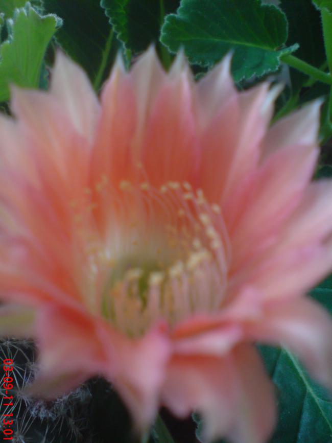 Name:  DSC01828.jpg
Views: 1112
Size:  39.1 KB