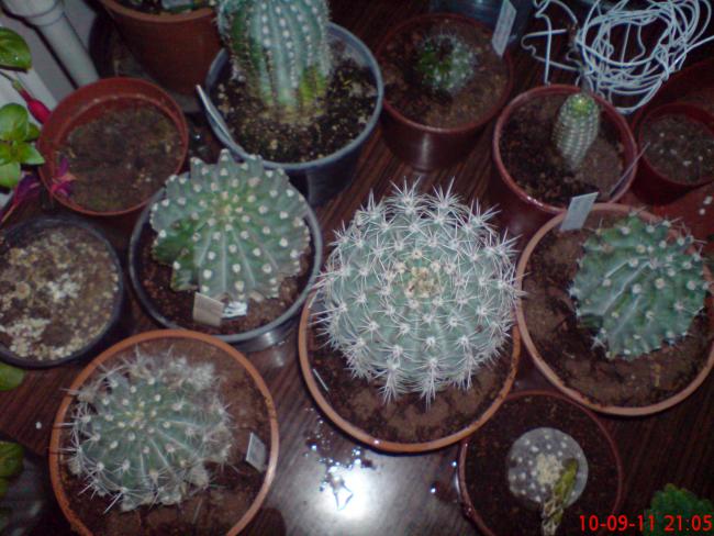 Name:  DSC01874.jpg
Views: 482
Size:  56.1 KB
