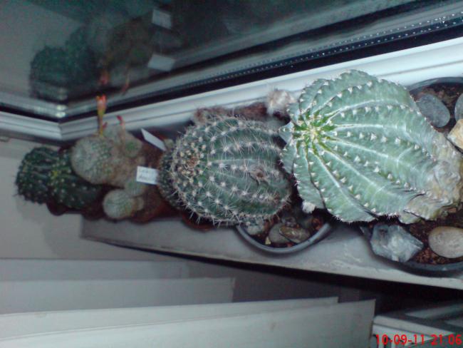 Name:  DSC01875.jpg
Views: 483
Size:  42.6 KB