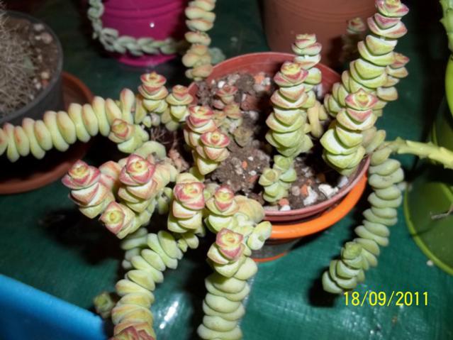 Name:  100_0960.jpg
Views: 911
Size:  49.3 KB