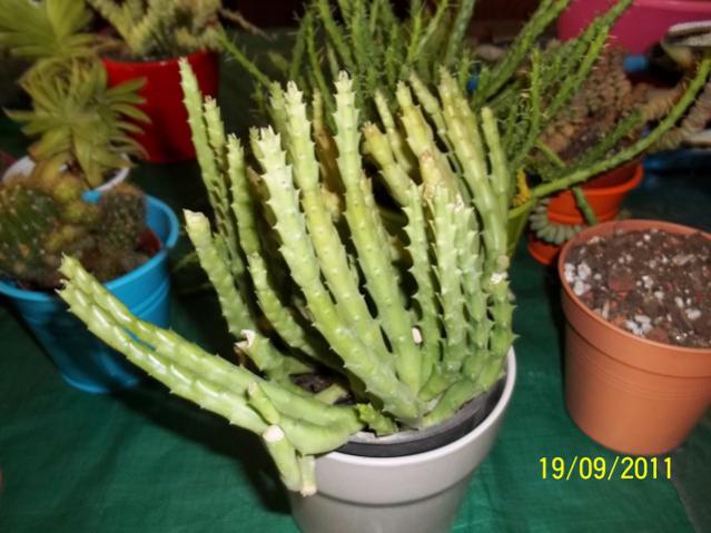 Name:  100_0964.jpg
Views: 1002
Size:  47.5 KB