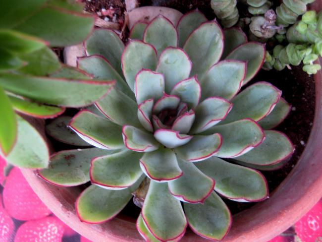 Name:  2011-09-22 052.jpg
Views: 1297
Size:  45.9 KB