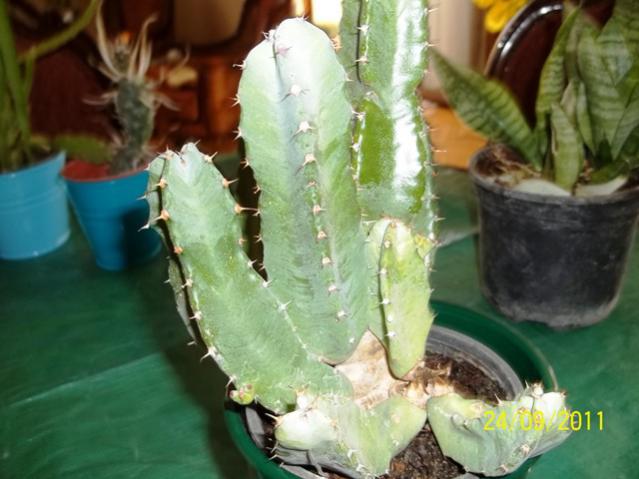 Name:  100_1023.jpg
Views: 1174
Size:  42.3 KB