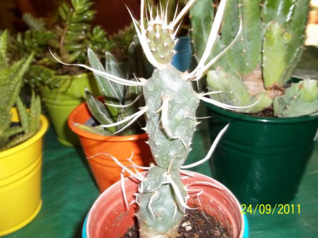 Name:  100_1025.jpg
Views: 969
Size:  47.5 KB