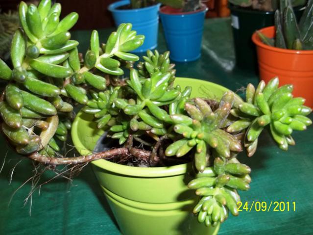 Name:  100_1021.jpg
Views: 1009
Size:  51.8 KB