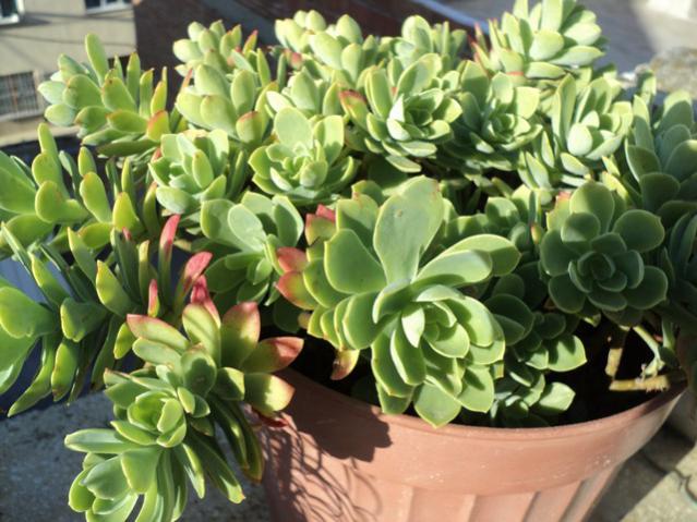 Name:  Image00009.jpg
Views: 977
Size:  58.4 KB