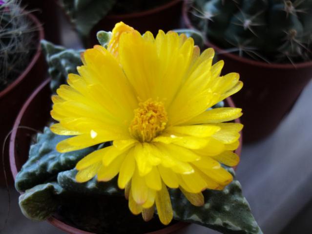 Name:  Image00001.jpg
Views: 923
Size:  32.7 KB