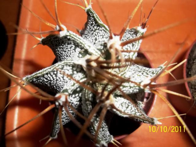 Name:  100_1138.jpg
Views: 873
Size:  47.3 KB