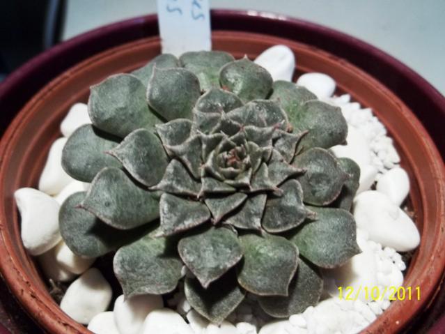 Name:  100_1142.jpg
Views: 1328
Size:  44.5 KB