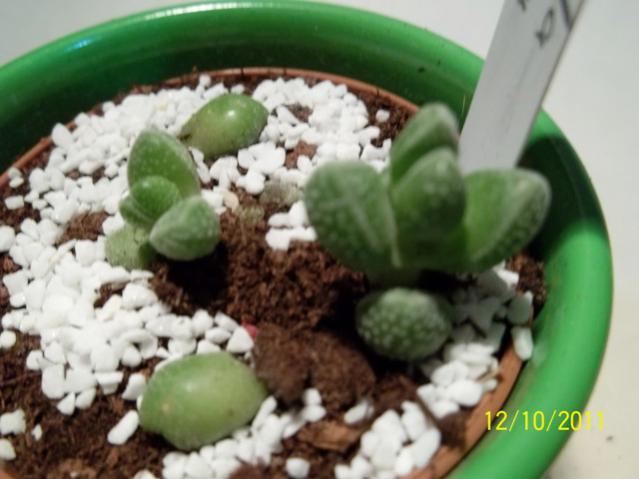 Name:  100_1146.jpg
Views: 1411
Size:  38.3 KB