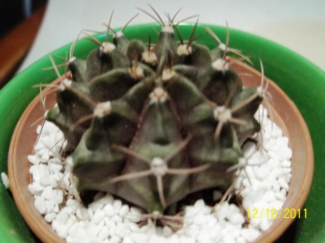 Name:  100_1148.jpg
Views: 1315
Size:  35.9 KB
