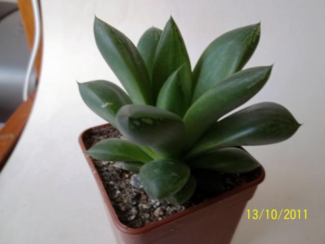 Name:  100_1184.jpg
Views: 1368
Size:  24.2 KB